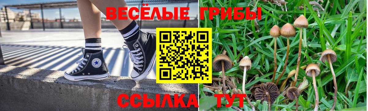 Бошки Шишки  Гашиш  Cocaine  Мефедрон   LSD-25  Сургут  ГАШИШ  MDMA  Вход с VPN 